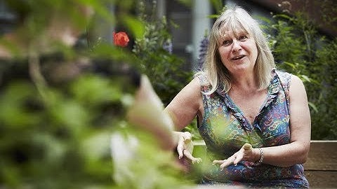 Verran Honored for Prolific Science Communication Efforts