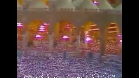 الشيخ د. #علي_جابر -رحمه الله- || حالات واتس آب || ۞ سورة القدر 💜