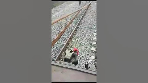 #railway unloading 20RP PANEL 260 M