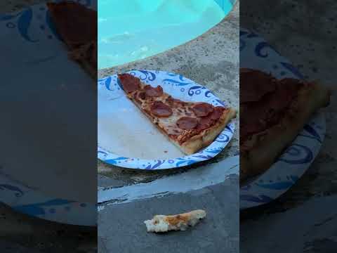 Child picks up pool-soaked pizza slice in Lodi, California