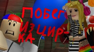 картинка: ПОБЕГ ИЗ ЦИРКА ААА ПОМОГИТЕ  ТУТ КЛОВНУ🤡🤡🤡🤡🤡🤡🤡🤡🤡🤡Мурка шалит 