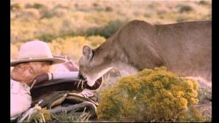 Lucky Luke - Grand Delusions 1992 Terence Hill Opening Credits 480P