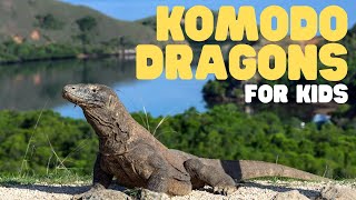 Komodo Dragons for Kids | Learn all about these apex predators!