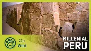 Millenial Peru | Go Wild