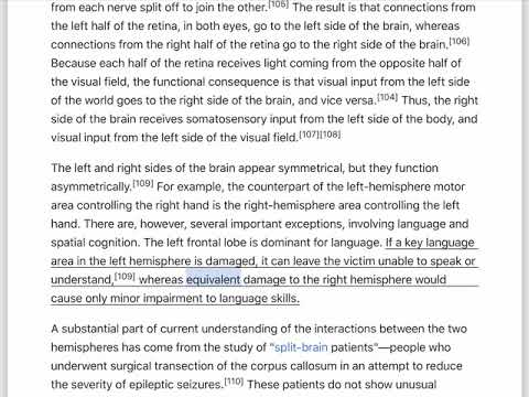 Human brain - Wikipedia - Part 2/2