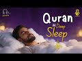 Quran Recitation in A Calming Voice I Alfatiha, Ayatul Kursi, Ya-Sin, Ar-Rahman, Al-Waqiah