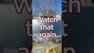 3 Angles of a Diseased Ash Tree Removal
