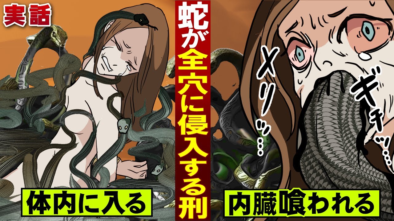実話 蛇責め刑 戦国時代の拷問 ヘビが全穴に侵入 内臓を食わせて殺す 的youtube视频效果分析报告 Noxinfluencer