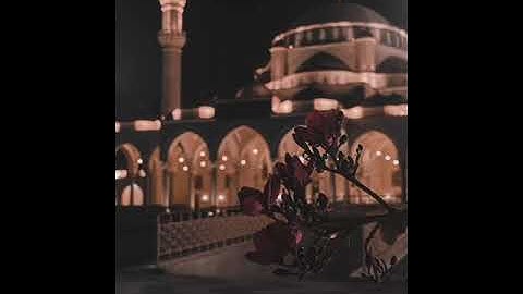 القارئ خالد الوليد الهاجري