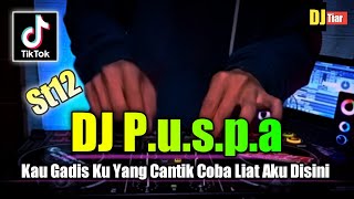 DJ KAU GADIS KU YANG CANTIK - REMIX PUSPA ST12 VIRAL TIKTOK