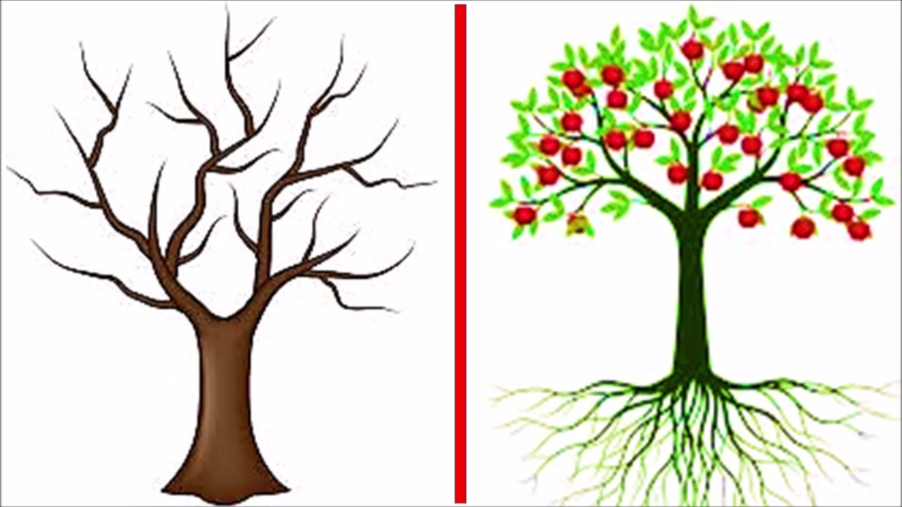 फल  या  फलरहित