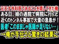 【感動】元天才外科医であることを隠して生きてきた俺。ある日、娘の通院で病院に行くと、事故で大量の急患が運び込まれ、医者が足りないピンチに!→俺が手伝うと驚きの展開に…【泣ける話】【いい話】