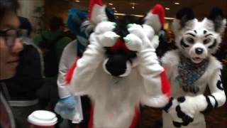Midwest Furfest 2016 by AlphaWereFox