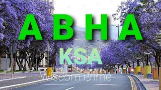 ABHA | Saudi Arabia's most stunning place to visit | most dangerous roads in abha saudi arabia screenshot 4