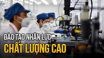 Đào tạo nhân lực chất lượng cao | VTV24
