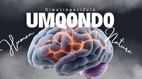 Indalo yoMuntu-umqondo uyaqopha