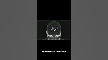 Your Brain Judges in 13 Milliseconds | Psychology Fact #viralfacts