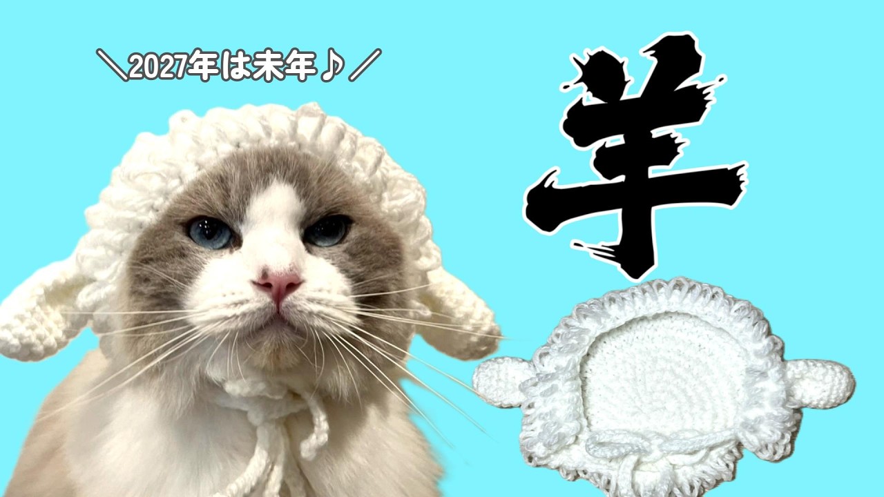 年賀状にもぴったり🐑猫の羊帽子を編もう♪【かぎ針編み】 | 猫のちブログ