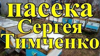 видео: На пасеке Сергея Тимченко / FABRO картинка: На пасеке Сергея Тимченко / FABRO