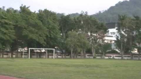 Align - T-Rex 250 Video