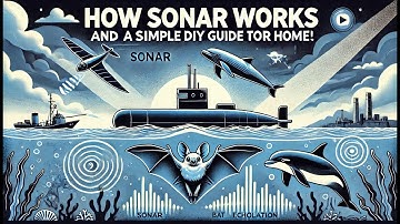 How Sonar Works and a Simple DIY Guide for Home!