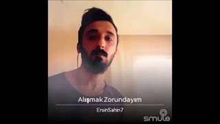 Alişmak Zorundayım - Ersin Şahin