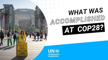 What was accomplished at COP28?