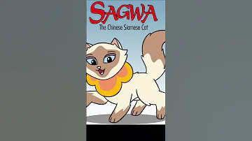 Happy 22nd Anniversary To Sagwa The Chinese Siamese Cat TV Series 2001 2023 