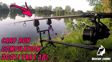 CARP RUN COMPILATION 2021! PART 18!