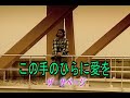 (カラオケ) この手のひらに愛を / ザ・サベージ