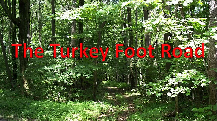 The Turkey Foot Road