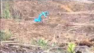 alpine001.mp4