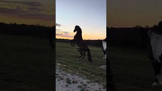 Just A Little Thank You For Being Here