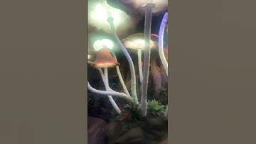 Liminal space #backrooms #dream #nostalgia #shorts