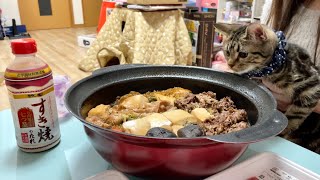 豪華すき焼きパーティーの香りに我慢できず参加しにきてしまった子猫w