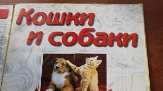 Кошки и собаки коллекция наклеек DS STICKERS CATS AND DOGS Кошки и собаки коллекция наклеек DS STICKERS CATS AND DOGS