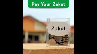 Why do Muslims pay zakat    English