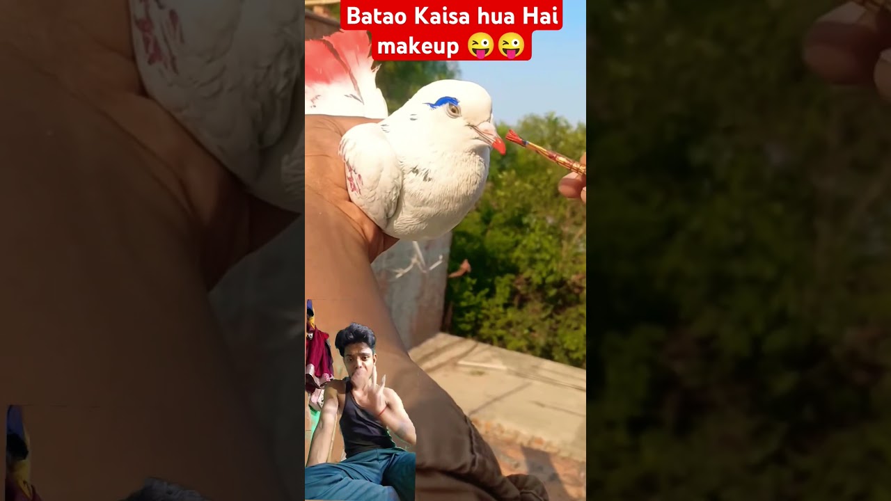 Pilot Lili Korian Pilot Lili Plane - Hindi Status Tube