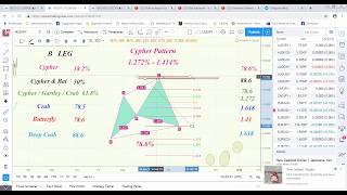 Harmonic Cypher Pattern  trade the C to D leg
