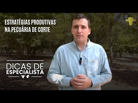 ESTRATÉGIAS PRODUTIVAS NA PECUÁRIA DE CORTE | DICAS DE ESPECIALISTA