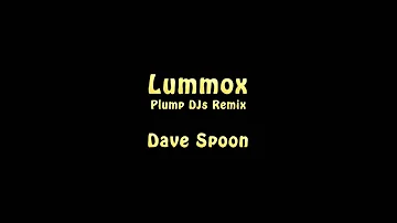 Lummox (Plump DJs Remix) - Dave Spoon