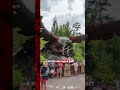 New video by BBC News on YouTube