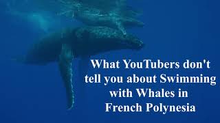 Swimming with Whales in French Polynesia