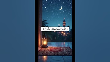 الشيخ/ سلطان عبدالله العمري - من أجمل التلاوات