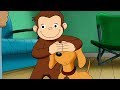 Jorge el Curioso en Español 🐵 Hundley un Perro Grande🐵 Capitulos completos del Mono Jorge