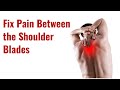 Fix Pain between the Shoulder Blades
