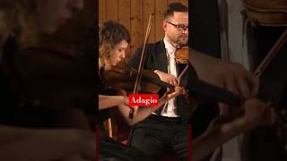 Albinoni Adagio #horstsohm &amp; #orchestra #classicalmusic #shorts #music #violin