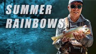 Dry Dropper Challenge  Summer Fly Fishing