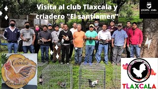 Visitando aves del estado de Tlaxcala