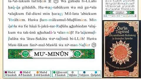 ختمة من مصحف التجويد باللغة الألمانية الصفحة رقم 341